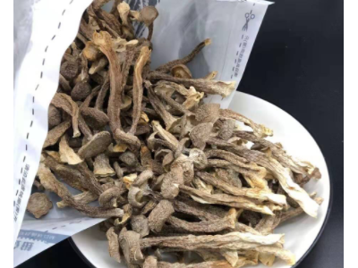 食用菌鹿茸菇250g菌菇干货云南鹿茸菇农产品散装批发一件代发图5