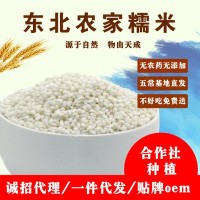 东北五常粒糯米新货东北农家糯米江米年糕米500g支持OEM