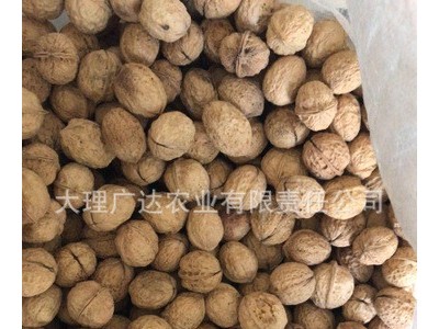 云南核桃500g 办公室休闲零食坚果散装核桃批发 云南核桃图1