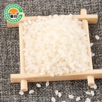 童成米业大米生产厂家 供应珍珠米美香粘大米25kg农产品大米批发