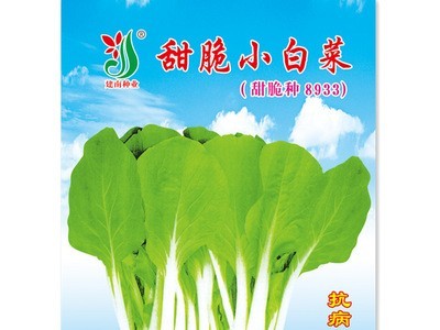 甜脆小白菜种子 耐热耐雨水抗病性强 特靓甜脆小白菜8933蔬菜种子图1