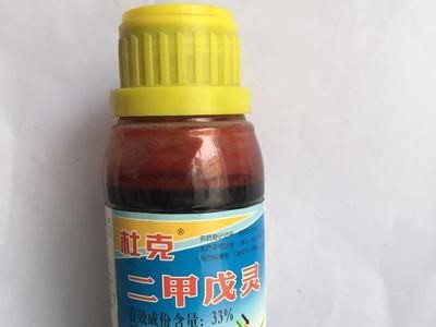 杜克33%二甲戊灵 大蒜葱姜棉花甘蓝苗前封闭除草剂200毫升/瓶封闭图1