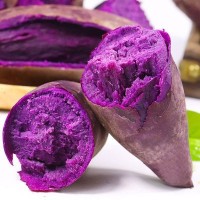 【全年供应】沙地紫薯 紫罗兰新鲜蔬菜 地瓜香甜5斤10斤地瓜 紫薯