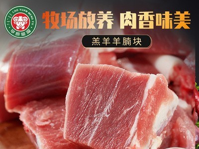 内蒙古草原蒙福羔羊羊腩块冷冻15kg火锅烧烤清炖红烧食材工厂批发图1