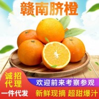 赣南脐橙脐橙新鲜水果现摘10斤甜橙赣州橙子批发