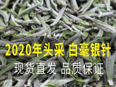 首日芽白毫银针头采福鼎白茶高山磻溪日晒新茶叶散装现批发图1