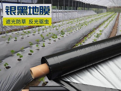 银黑膜聚乙烯地膜种植除草防冻遮光塑料黑白双色反光防草农用薄膜图1