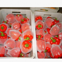 产地常年大量供应出口级红色黄色绿色新鲜五彩椒