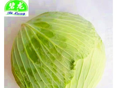 常年大量供应2021保鲜蔬菜各种包菜类圆包菜扁包菜紫甘蓝图1