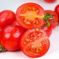 【山东千禧圣女果】顺丰包邮 5斤 生吃小番茄小西红 新鲜水果蔬菜