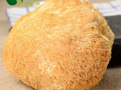 鑫吉挑选食用菌特产干货猴头菇 无熏金猴王猴头菇500g批发图3