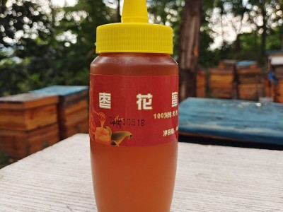 农场供应养殖蜂蜜 500g枣花蜜瓶装 蜂蜜厂家供应现货代发图2