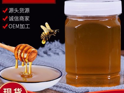 洋槐蜂蜜 500g/瓶 厂家供应 散装批发蜂蜜 源头厂家图5