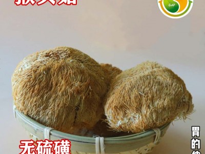 厂家直供湘蕈猴头菇干货批发无硫磺湖南出口猴头菌真空包装250g图2