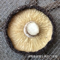 新香菇干货产地批发直销泌阳县泌园土特产黑面干香菇蘑菇一件代发