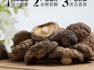 庆元香菇高山冬菇剪脚金钱菇农家新鲜小香菇500g干香菇蘑菇袋装图4