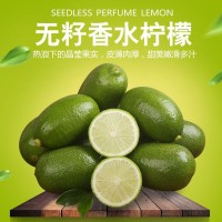 海南无籽香水柠檬一级台湾柠檬现摘薄皮奶茶店香柠青柠檬