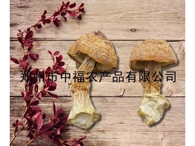 姬松茸干货厂家直供食用菌严选巴西菇精装新年土特产好礼品图5