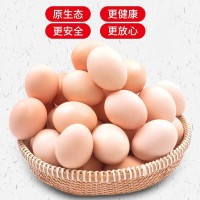 批发宜昌秭归高山农家散养土鸡蛋农村农产品鲜鸡蛋30枚/箱