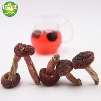 福建红菇 土特产红蘑菇 干货批发 红菇 红菌 3-4cm 1件500g