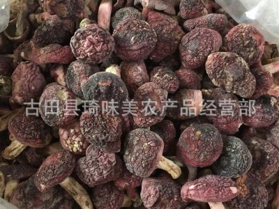 红菇 武夷山红菇三明红菇苞 2.2-3cm中红菇 1 袋子 装500g图5