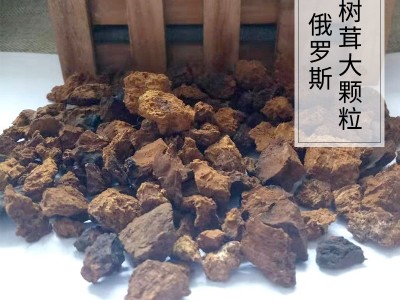 俄罗斯西伯利亚白桦茸 桦树茸 桦褐孔菌 机打大颗粒图1