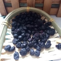 蓝莓果干 黑龙江大兴安岭特产干蜜饯零食蓝莓果干500g