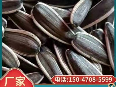 厂家供应生瓜子内蒙古生葵花籽新货大颗粒原味葵花子新鲜图4