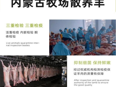 厂家直供家庭户外烧烤食材羊排肉串 冷藏商用半成品烧烤店羊肉串图4