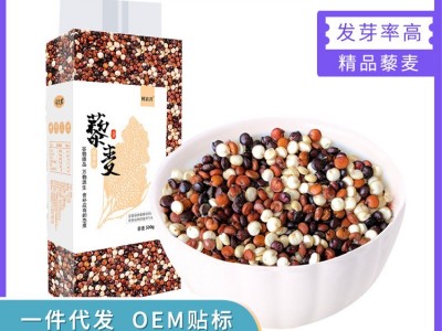 厂家批发 三色藜麦500g/袋张家口坝上黑白红藜麦混合装JP图2