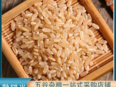 低温烘焙熟糙米 磨粉原料五谷杂粮豆浆原料批发熟原料现货供应图1