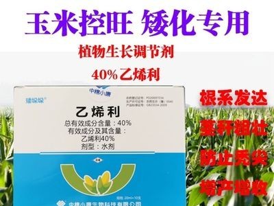 小麦玉米矮壮丰乙烯利玉米控旺缩节矮化植物生长调节剂20g图3