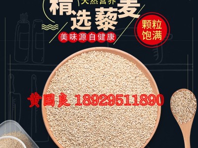 白藜麦米500g孕妇宝宝粗粮优质龙芽米非即食五谷杂粮优质白藜麦图3