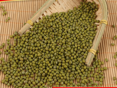 批发绿豆原粮 东北粮食绿豆农家自产五谷杂粮 散装粗粮明绿豆图2