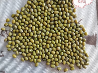 批发零售芽豆 绿豆芽豆 小粒绿豆小粒明绿豆进口图4