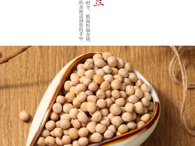 【豌豆】厂家批发豌豆白豌豆黄豌豆五谷杂粮量大从优50公斤黄豌豆图4