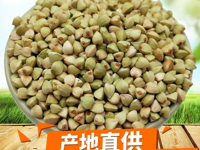 荞麦米荞麦仁粒三角麦非黑苦荞麦荞麦冷面原料杂粮24.5kg甜荞麦图2