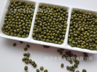 明绿豆批发笨绿豆绿豆粥汤原料散装25kg五谷杂粮新绿豆图3