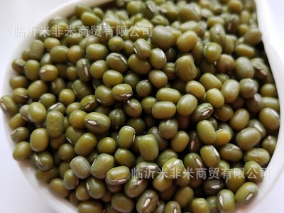 明绿豆批发笨绿豆绿豆粥汤原料散装25kg五谷杂粮新绿豆图4