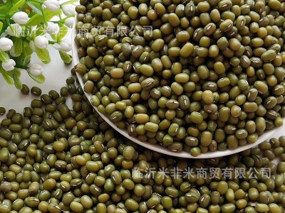 明绿豆批发笨绿豆绿豆粥汤原料散装25kg五谷杂粮新绿豆图5