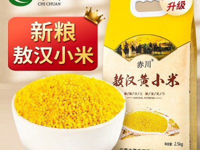 赤川 新米黄小米5斤装赤峰敖汉黄小米5斤内蒙古赤峰小米粥辅食图2