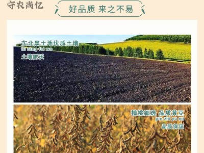 黑龙江特产黄豆新自种打豆浆大豆芽豆2500g图3