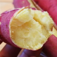 陕西板栗红薯新鲜沙地红薯黄白10斤蜜薯地瓜农家自种粉烤番薯5斤