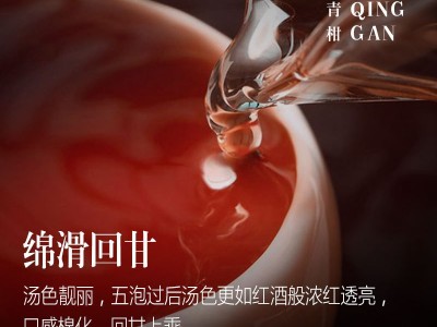 新会生晒小青柑普洱茶熟茶茶叶礼盒装500g陈皮柑宫廷熟茶一件代发图1