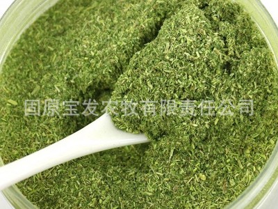 基地种植袋装紫花苜蓿草粉 今年新草鸡鸭鹅等家禽苜蓿草饲草图5