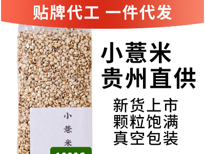 贵州薏米仁500G新货1斤小薏米薏苡仁小薏米赤小豆茶批发一件代发图1