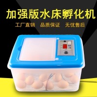 伊科贝特水床孵化机升级版 32枚PP料家用小型孵化器鸡鸭鹅孵化箱
