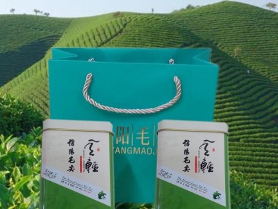 新茶茶叶春茶信阳毛尖高山毛尖源头企业厂家直销加工定制散装包邮图4