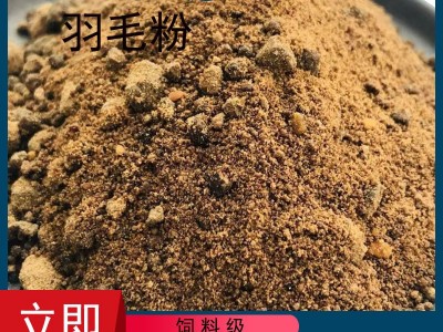 厂家供应饲料级羽毛粉适口性好家禽水产蛋白粉鸡毛鸭毛水解羽毛粉图4