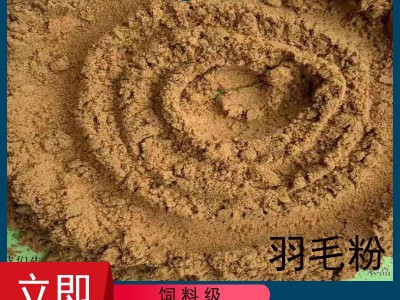 厂家供应饲料级羽毛粉适口性好家禽水产蛋白粉鸡毛鸭毛水解羽毛粉图3